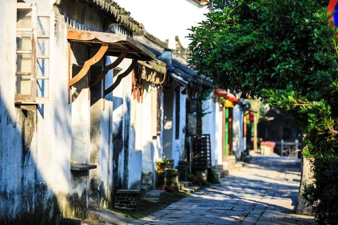 为什么演员要少接综艺?流浪地球2攒下的口碑,都快被沙溢败光了